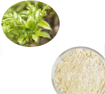 vine tea extract dihydromyricetin.png